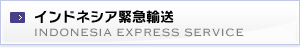 インドネシア緊急輸送 INDONESIA EXPRESS SERVICE